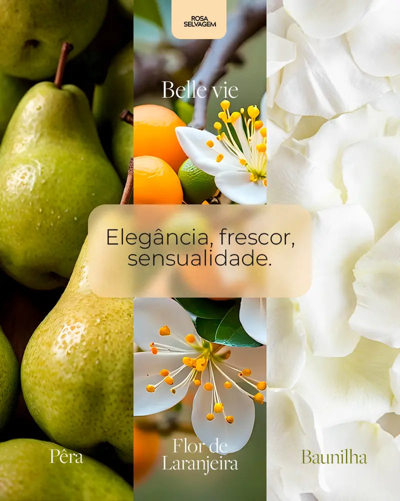 Body Splash Belle Vie